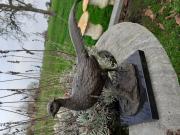 Annonce FAISAN EN BRONZE SUR CSOCLE MARBRE