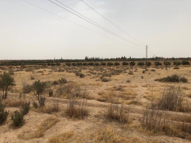 Photo Ferme à vendre à 25 km de Marrakech image 1/6