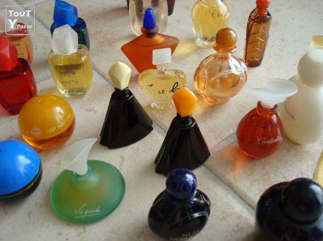 Photo Flacons de Parfum Miniature de Différentes Marques image 1/2