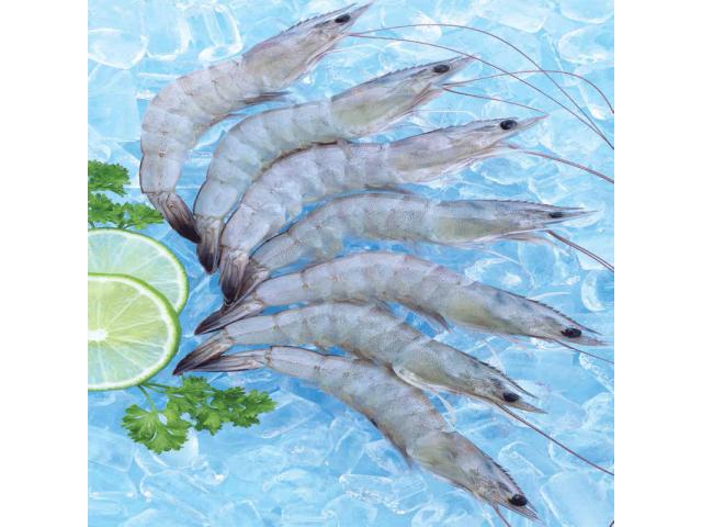 Photo Fourniture de crevettes vannamei vietnamiennes || Approvisionnement de crevettes pattes blanches au  image 1/4