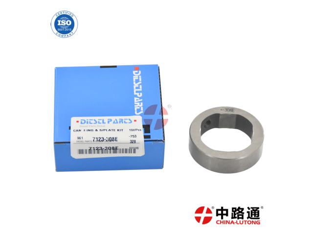 Photo Fuel Injection Kit Cam Ring & Scroll Plate injection pumps Cam Rings image 1/2