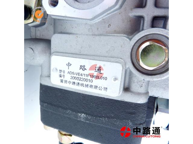 Photo Fuel Injection Pump Plunger 090150-5732 & Fuel Injection Pump Plunger 090150-5882 image 1/1