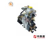 Annonce Fuel Injection Pump Plunger 1 418 405 005 & Fuel Injection Pump Plunger 1 418 425 016