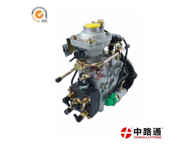 Photo Fuel Injection Pump Plunger 1021 & Fuel Injection Pump Plunger 105700-51100 image 1/1