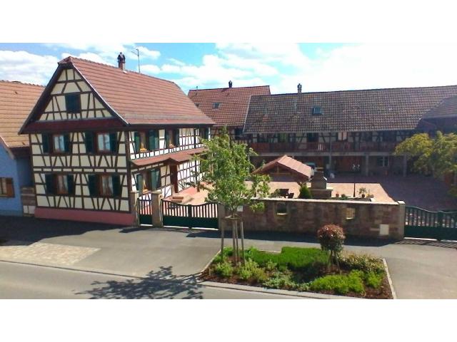 Gite Krauffel 4 à 8 personnes en Alsace près d'Obernai