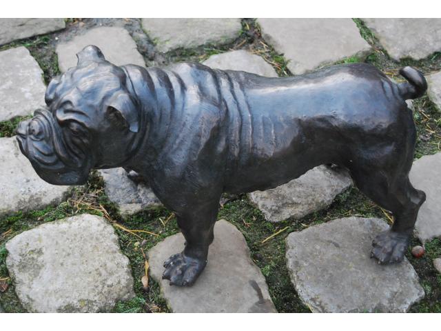 Grand bullgog anglais en bronze(57 cm de longueur)