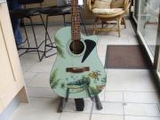 Annonce guitare Fender electro acoustique