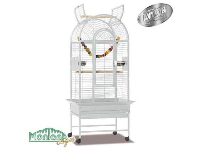 haiti - perroquet cage anthracite
