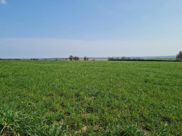 HAUT-FAYS (Daverdisse) : Terrain à bâtir, 10a01ca, belle vue dégagée.