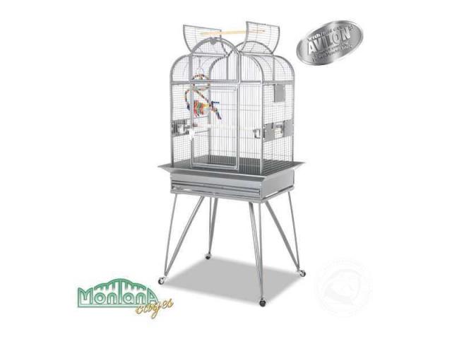 Havana Perruches cage platinium