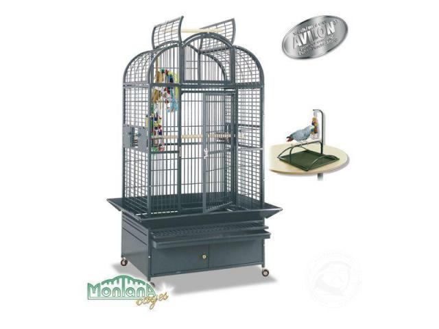 Heidelberg perroquet cage