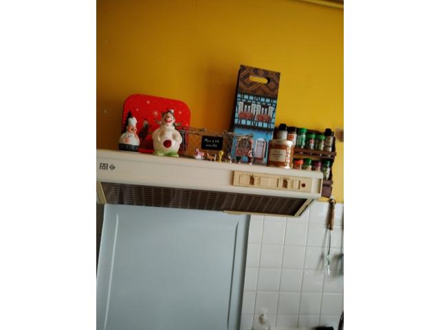 HOTTE APIRANT DE CUISINE