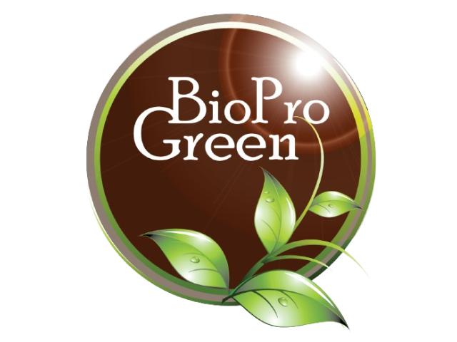 Huile d'Argan Bio en Vrac : Votre Partenaire Fiable au Maroc - BioProGreen