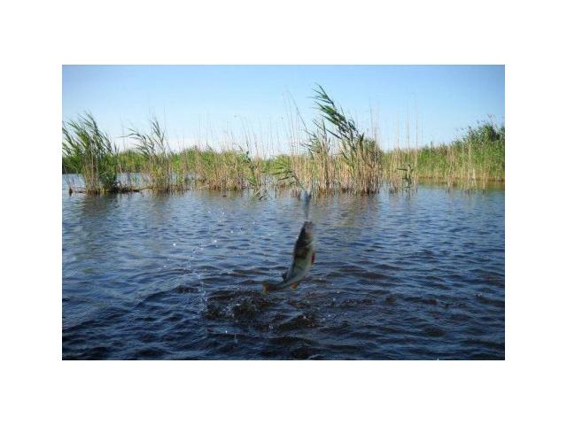 Photo Investment 736ha land for tourism, aquaculture and agriculture in the Danube Delta, Romania, Europe. image 1/1