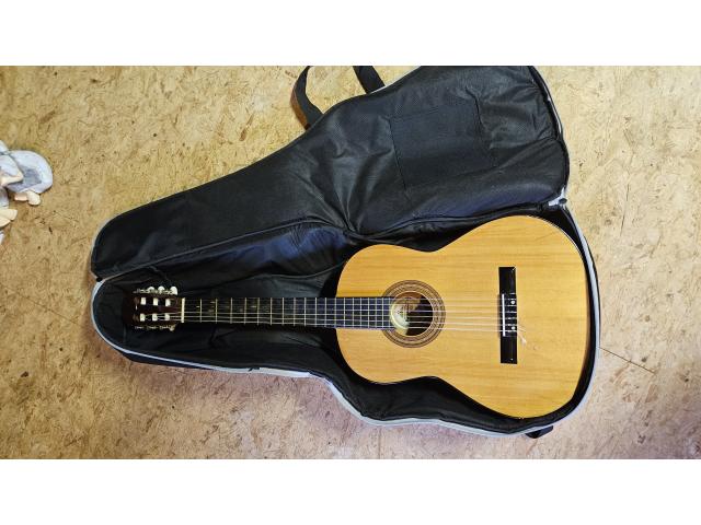 Je vend une guitare 3/4 ainsi que tout le matériel nécessaire pour en jouer