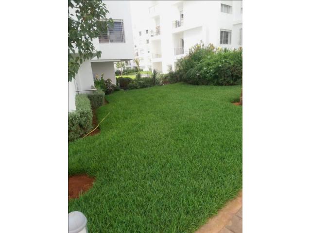 joli appartement à SIDI MAAROUF Les collines