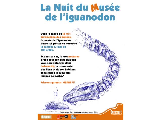 Photo La Nuit du Musée de l’iguanodon image 1/1