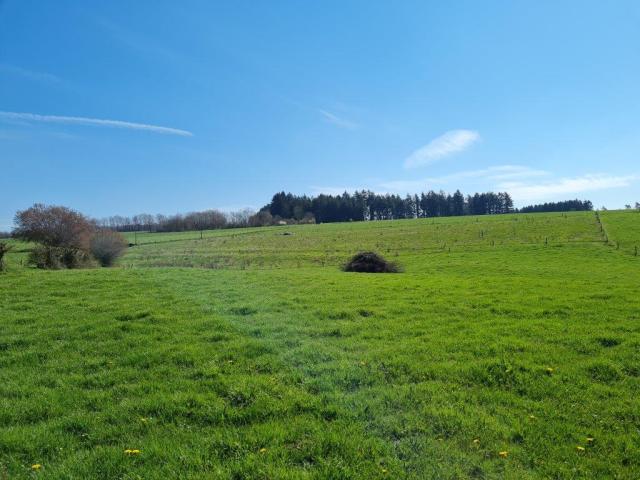 La Roche - Mierchamps : terrain à bâtir, 19a 43ca.