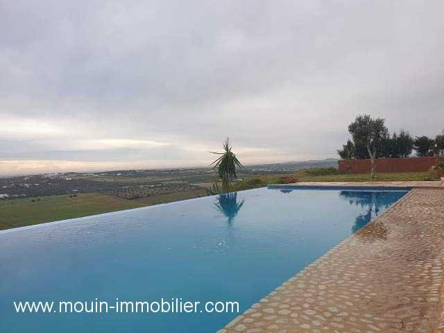 Photo La Villa Unique AV1405 Hammamet el menchar image 1/6