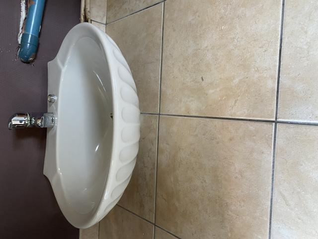 Lavabo coquillage