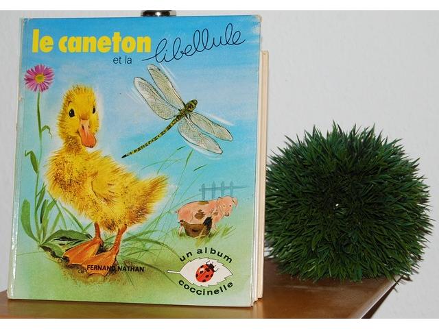 Photo Le Caneton et la Libellule. 1978 image 1/3