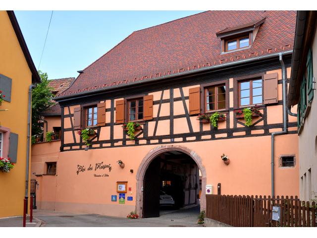 Photo Le CLOS DES RAISINS Chambres d'hôtes de Charme en Alsace image 1/6