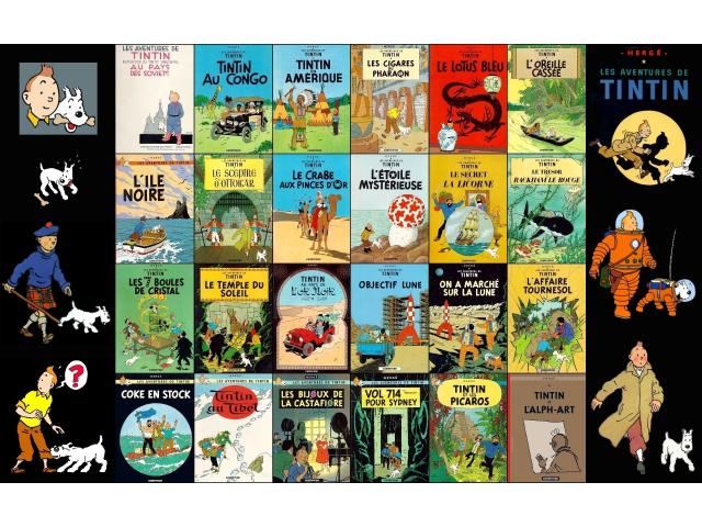 Photo Les Aventures de Tintin Collection complète 23 N° image 1/1
