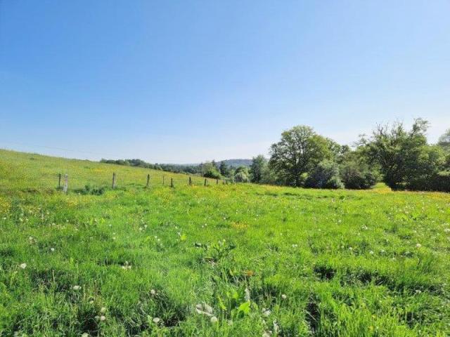 Les Hayons, Bouillon : beau terrain à batir, +- 40 ares