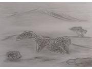 Annonce Lierre, hedera helix - dessin