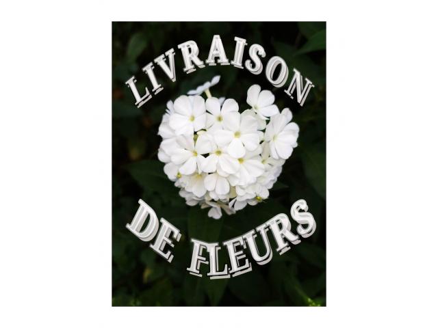 Photo Livraison de fleur Phlox blanc. image 1/1
