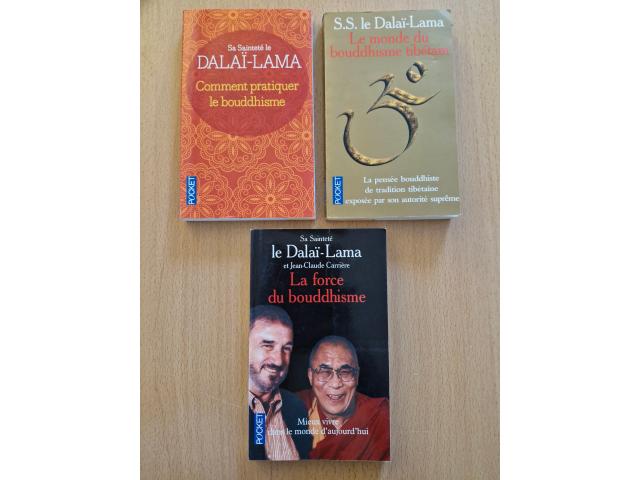 Photo Livres de poche sur le bouddhisme image 1/4