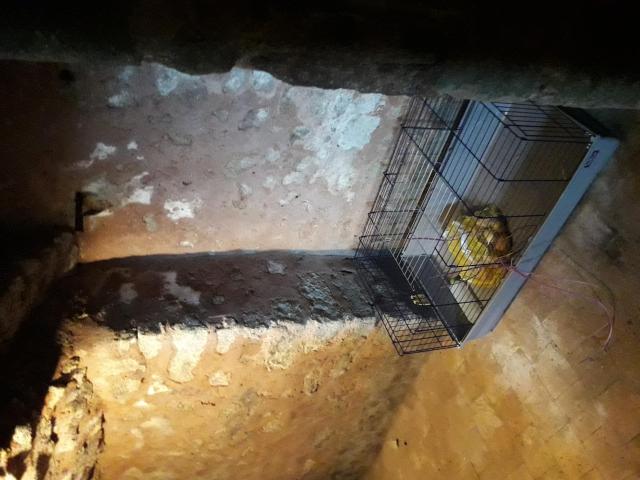 Photo Location cave (bouteille, meubles, légumes, ...) 10m2, sécurisé 2 portes dans village image 1/4