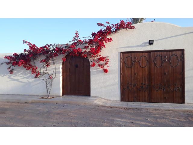 Photo Location de vacances d'une belle villa à Djerba image 1/6