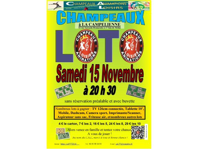 LOTO du 15 novembre 2025 à CHAMPEAUX (77720)