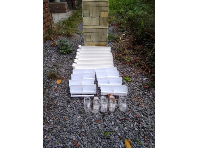 lots accessoire pour canaris ou autre