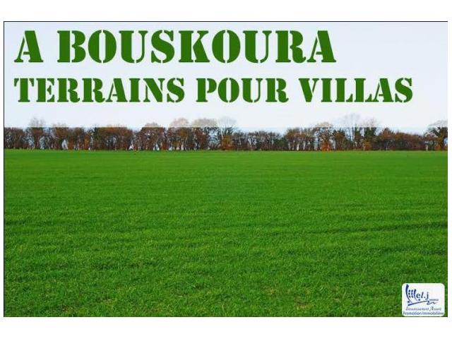 lots de villas