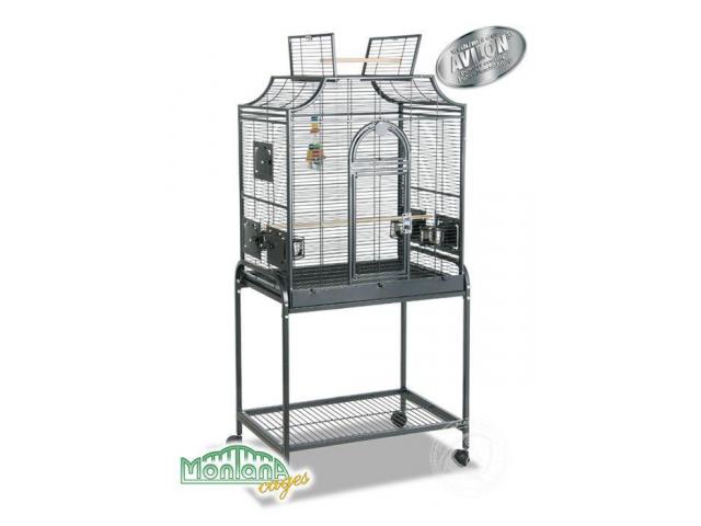 Madeira 1 - perruches cage anthracite