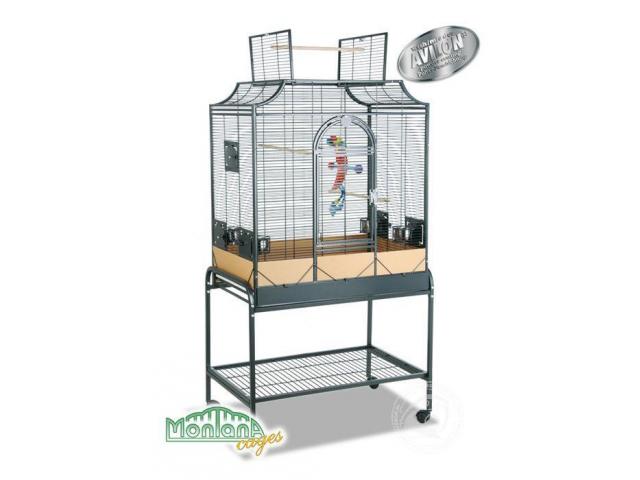 Madeira 11 - perruches cage anthracite