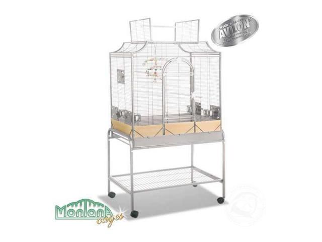 Madeira 111 - perruches cage platinium