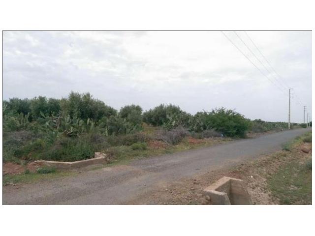 Magnifique terrain 5 hectares KM 14 Ourika