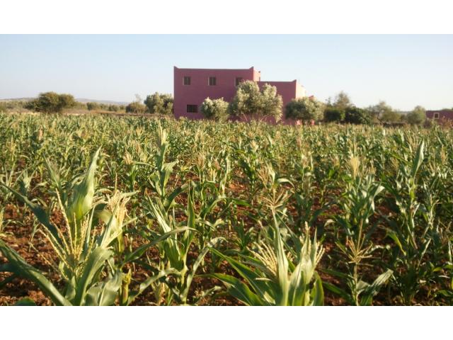 maison sur terrain de 1 hectare