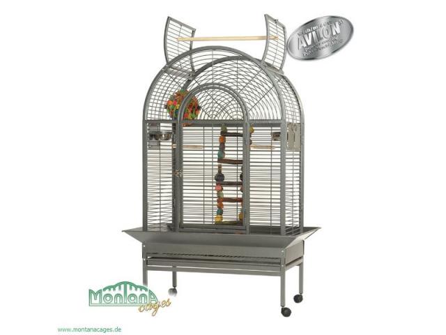 Manhattan couleur perroquet cage sombre antique