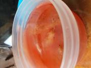 Annonce Mère de kombucha (scoby)