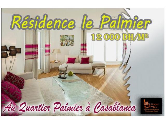 Merveilleuse appartement au quartier palmier