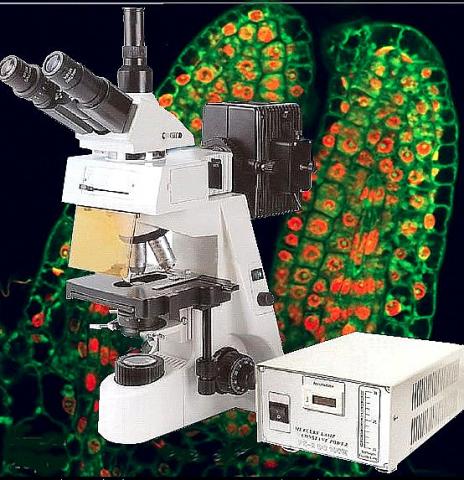 Microscope a fluorescence a saisir