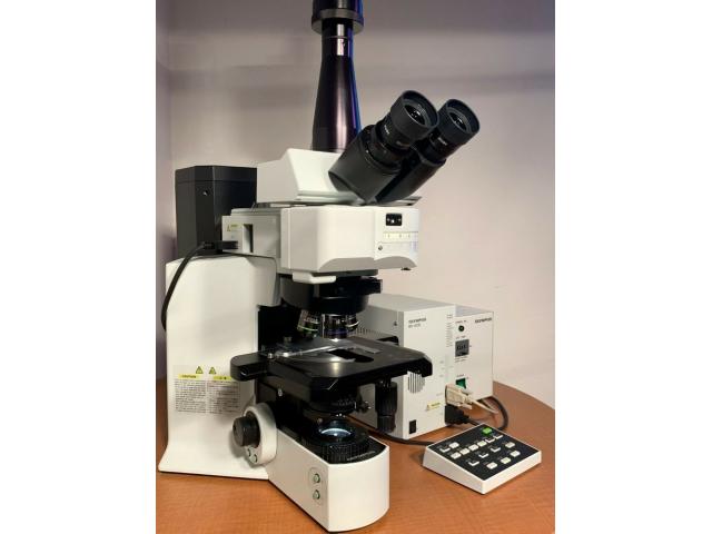 Microscope Olympus BX61