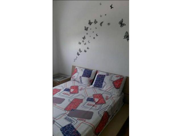 Mignon appartement meublé à Nassim