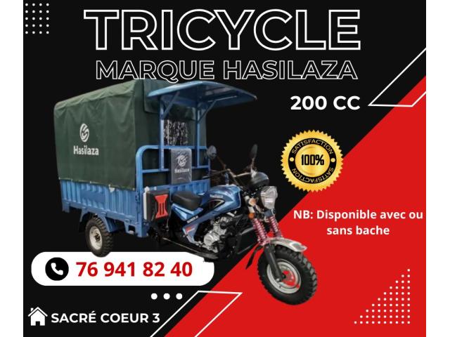Photo MOTO TRICYCLE DE MARQUE HASILAZA image 1/1