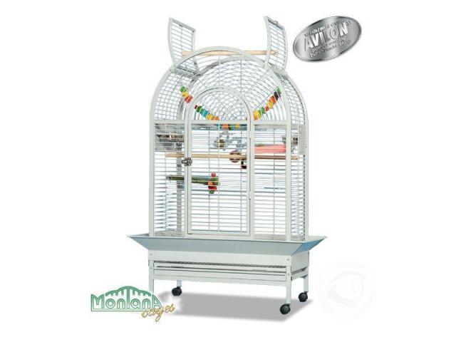 New Jersey -perroquet cage platinium