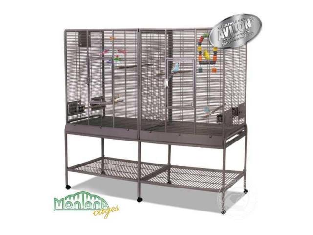 New Madeira Double - perruches cage anthracite